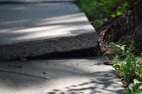 Cost of Sidewalk Leveling in Olympia