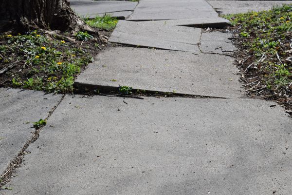 Cost of Sidewalk Raising in Olympia