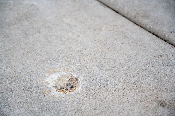 Pathway Raising in Olympia